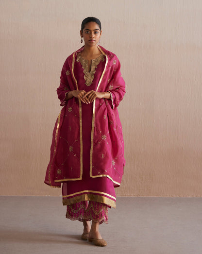 Meheroo Handloom Rani Pink Organza Kurta With Cotton Chanderi Pants And Organza Dupatta