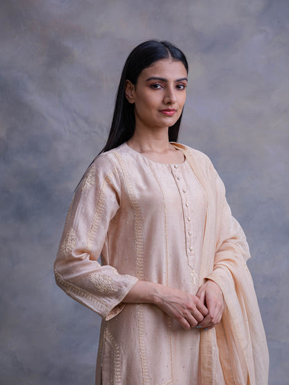 Formal Chanderi Aline Kurta