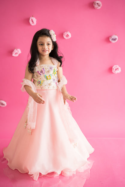 Pink Organza Lehenga And Butterfly Top