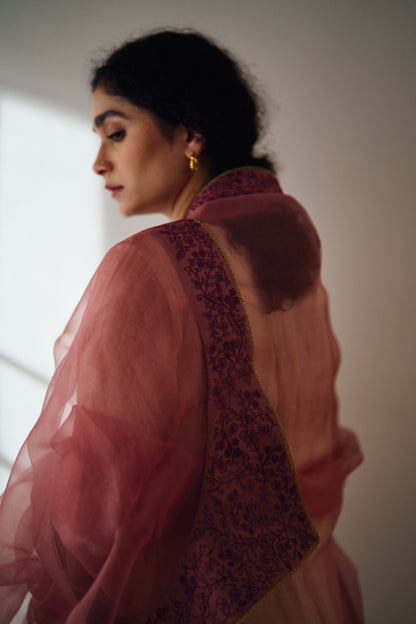 Kaia Organza Hand Embroidered Dupatta