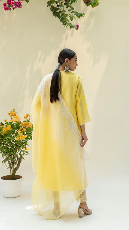 Fiza Kurta Set - Pastel Yellow