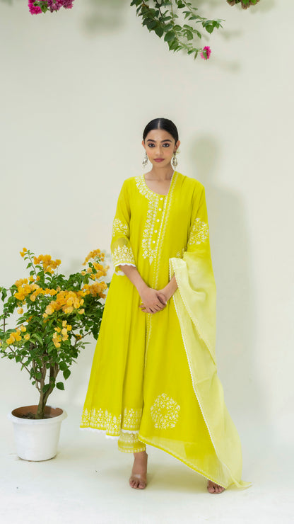 Parchhai Anarkali Set - Lime Green