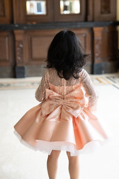 Peach Dress With Shimmering Sequin And Bead Embroidery