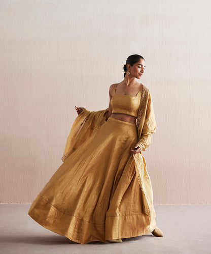 Mastani Handloom Gold Tissue Blouse With Skirt