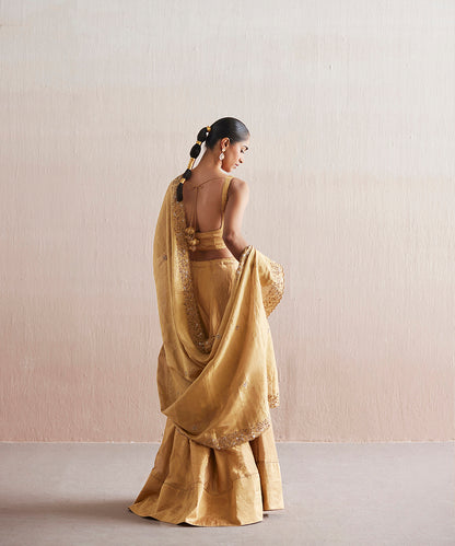 Mastani Handloom Gold Tissue Blouse With Skirt